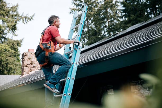 Professional Roofing Service  in Camarillo, CA